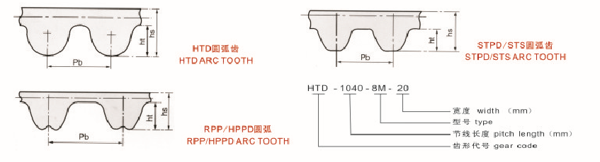 港達同步帶圓弧齒示意圖